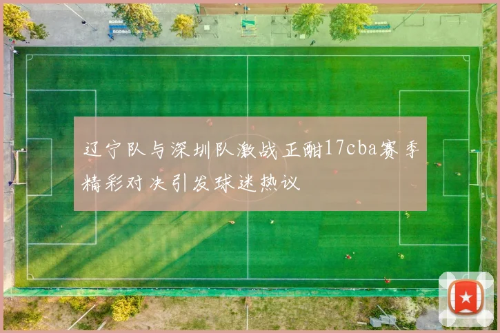 辽宁队与深圳队激战正酣17cba赛季精彩对决引发球迷热议